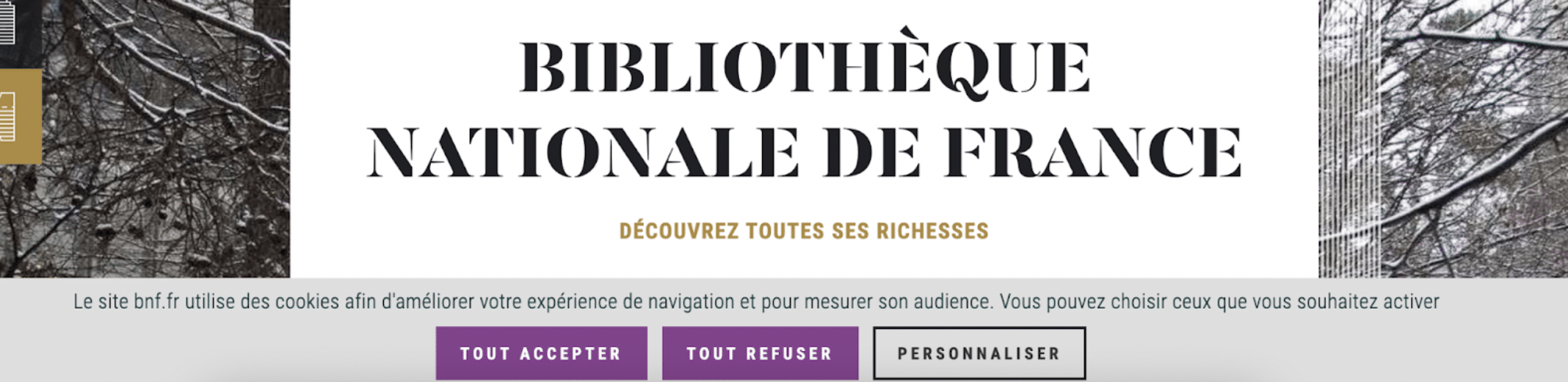 rgpd cookies exemple bnf